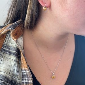 necklace and earrings